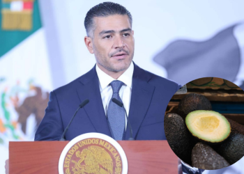 Descarta amenazas a inspectores de EU de aguacate en Michoacán