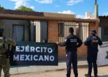 Decomisan más de 22 mil dosis de droga en Sonora en una semana