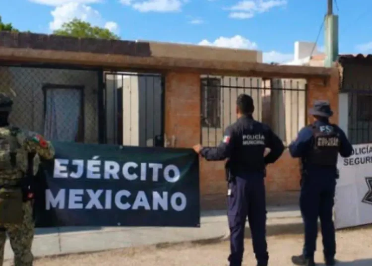 Decomisan más de 22 mil dosis de droga en Sonora en una semana