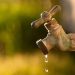 Disminuye la sequía, persisten fallas en suministro de agua