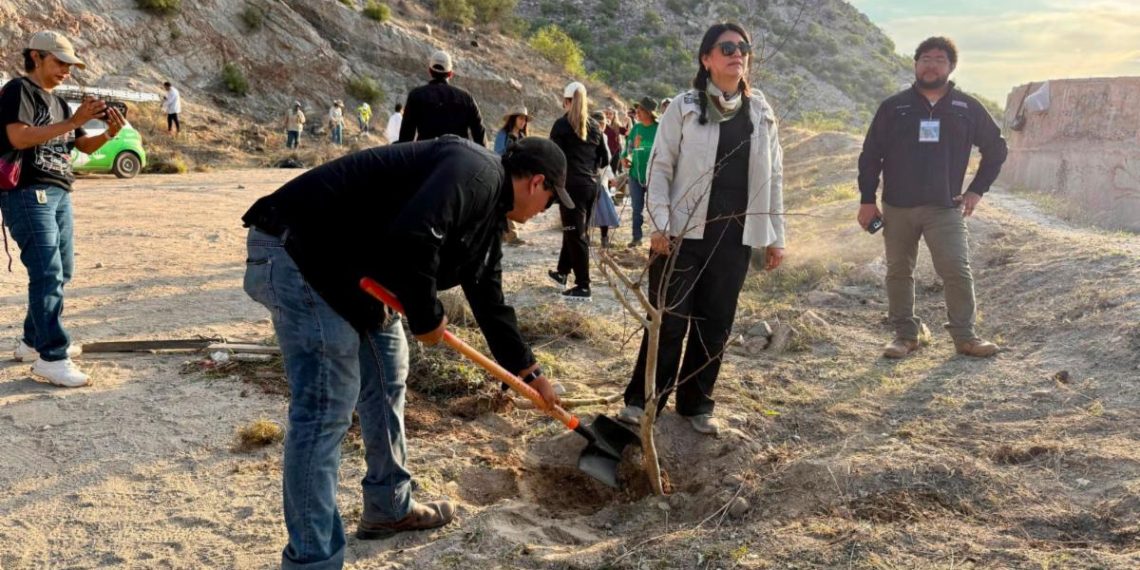 Gobierno de Sonora fortalece la reforestación y la participación comunitaria en el Bosque Urbano La Sauceda
