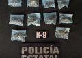 PESP refuerza acciones de seguridad con intervención de su Unidad K-9