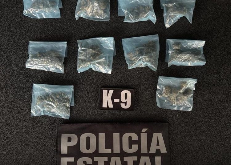 PESP refuerza acciones de seguridad con intervención de su Unidad K-9