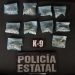 PESP refuerza acciones de seguridad con intervención de su Unidad K-9