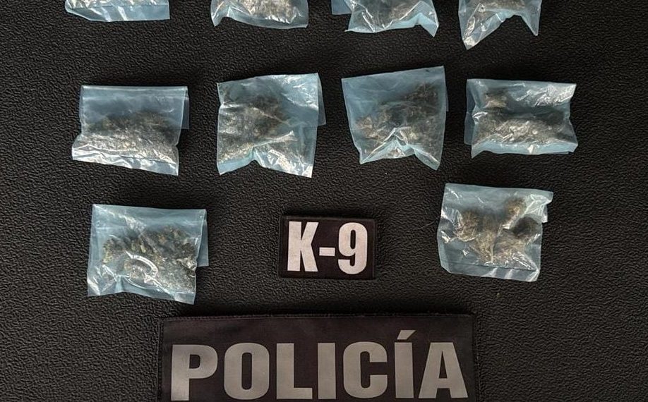 PESP refuerza acciones de seguridad con intervención de su Unidad K-9