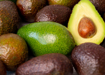 Suben 35% las exportaciones de aguacate a EU