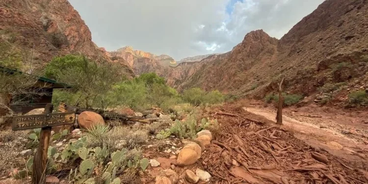 Reportan 15 desaparecidos por inundación en Gran Cañón en EU