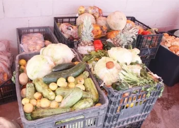 México tira por minuto 38 toneladas de alimentos