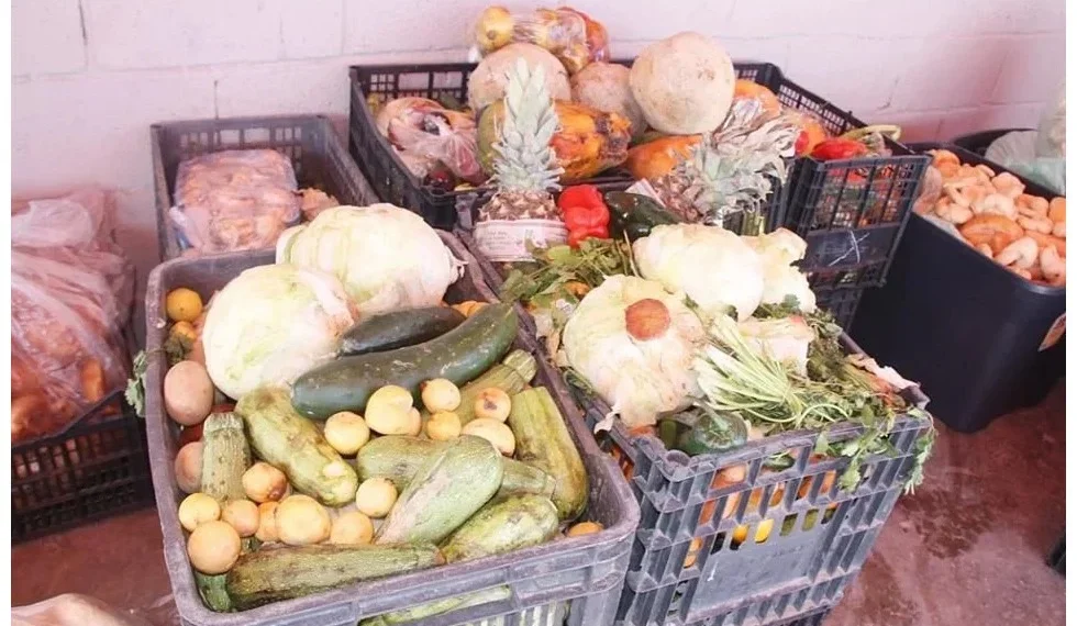 México tira por minuto 38 toneladas de alimentos