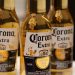 México se convirtió en 2025 en el mayor exportador de cerveza en el mundo: Sader