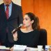 Propone Diana Karina Barreras crear Ley General de Adopciones para unificar procesos en todo el país
