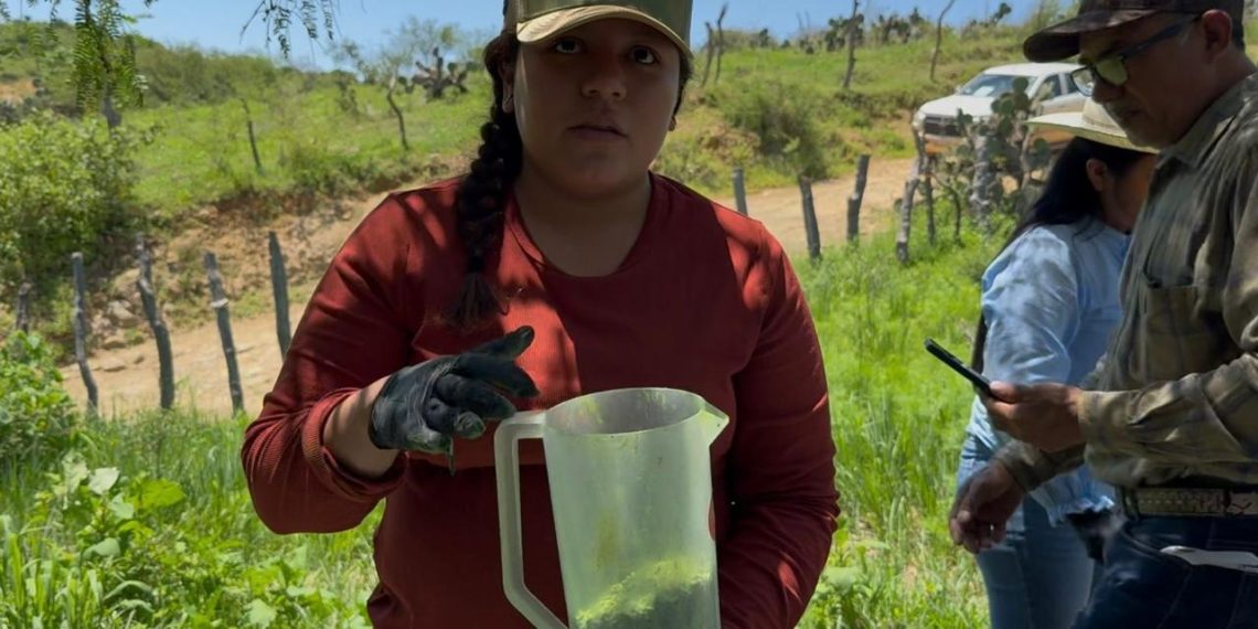 Gobierno de Sonora y Senasica intensifican acciones sanitarias para proteger al sector ganadero