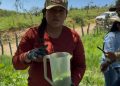 Gobierno de Sonora y Senasica intensifican acciones sanitarias para proteger al sector ganadero