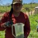 Gobierno de Sonora y Senasica intensifican acciones sanitarias para proteger al sector ganadero