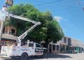 Ayuntamiento de Guaymas atiende reportes ciudadanos para reparación de luminarias