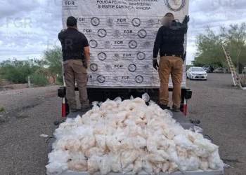 FGR asegura más de 196 kilos de metanfetamina ocultos en camión de paquetería en Sonora