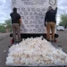 FGR asegura más de 196 kilos de metanfetamina ocultos en camión de paquetería en Sonora