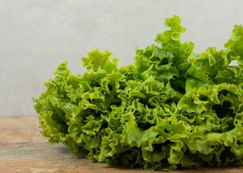 Piden pruebas a EU antes de cerrar fronteras a alimentos
