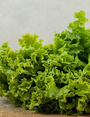 Piden pruebas a EU antes de cerrar fronteras a alimentos