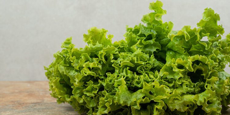 Piden pruebas a EU antes de cerrar fronteras a alimentos