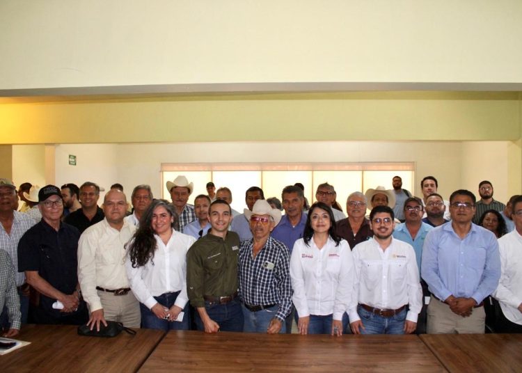Histórica reunión fortalece la coordinación entre Gobierno de Sonora y productores para planear el ciclo agrícola 2026-2027