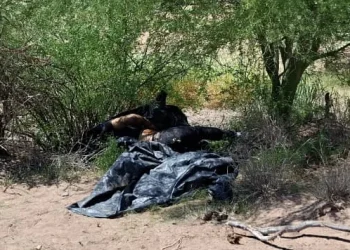 Colectivo de búsqueda halla cuerpo de hombre envuelto en hule negro
