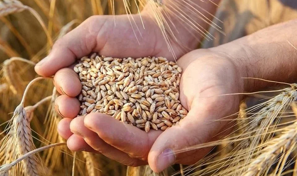 Suben precios de alimentos a mayor nivel en más de 3 años