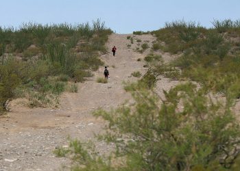 Han encontrado 73 cadáveres de migrantes en desierto de Arizona en lo que va de 2026