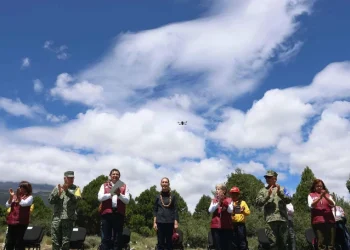 Sheinbaum pone en marcha la gran jornada para reforestar México