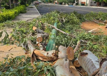 Fuertes vientos dejan sin agua a sectores del sur y centro de Hermosillo