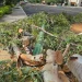 Fuertes vientos dejan sin agua a sectores del sur y centro de Hermosillo