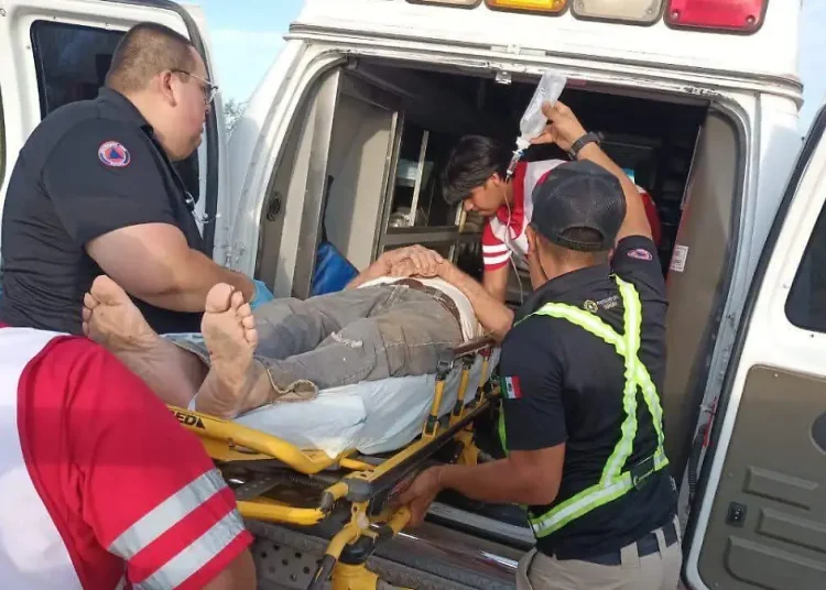Rescatan con vida a adulto mayor de 76 años extraviado en el desierto de Altar, Sonora