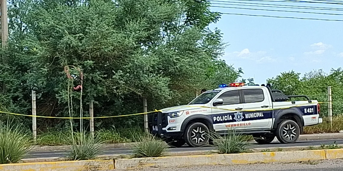 Hallan a hombre sin vida en Ventura Residencial