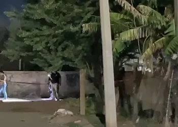 Ultiman a balazos a una mujer en “tiradero” en el fraccionamiento Villa Sauces