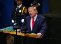 “México, epicentro de violencia de los cárteles”: Trump ante ONU