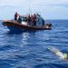 Pescadores de Ensenada buscaban marlín y se toparon con un torpedo que alertó a la Marina