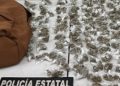 Asegura Policía Estatal y Defensa más de 300 envoltorios con narcótico en Nogales
