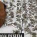 Asegura Policía Estatal y Defensa más de 300 envoltorios con narcótico en Nogales