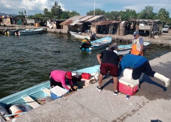 Pescadores ribereños de Guaymas podrán capturar camarón desde el 22 de septiembre