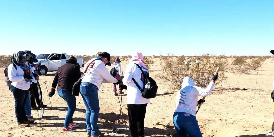 Encuentran otras dos fosas clandestinas con restos humanos en San Luis Río Colorado