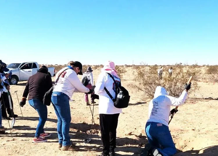 Encuentran otras dos fosas clandestinas con restos humanos en San Luis Río Colorado