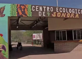 Proyectan reapertura de invernadero en Centro Ecológico para el próximo año