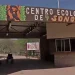 Proyectan reapertura de invernadero en Centro Ecológico para el próximo año