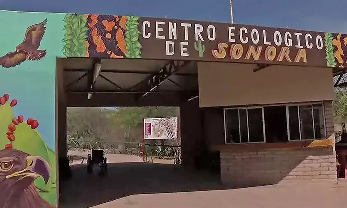 Proyectan reapertura de invernadero en Centro Ecológico para el próximo año