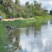 Encuentran cuerpo flotando en Canal Bajo a la altura del Campo 2
