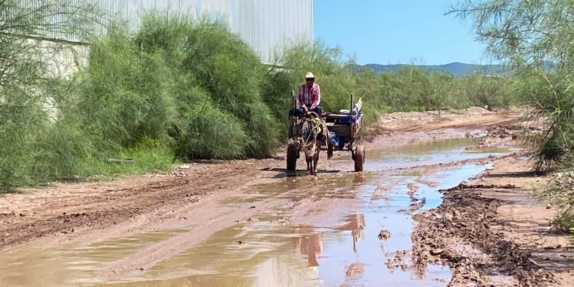 Granjas Micas queda bajo el agua tras lluvias; temen que se repita