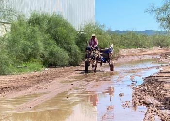 Granjas Micas queda bajo el agua tras lluvias; temen que se repita