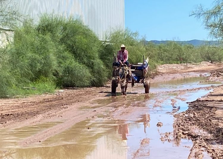 Granjas Micas queda bajo el agua tras lluvias; temen que se repita