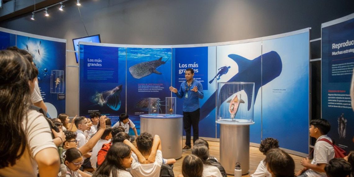 Supera exposición “TIBURONES” meta de 10 mil visitantes en sólo 19 días