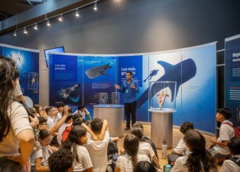 Supera exposición “TIBURONES” meta de 10 mil visitantes en sólo 19 días